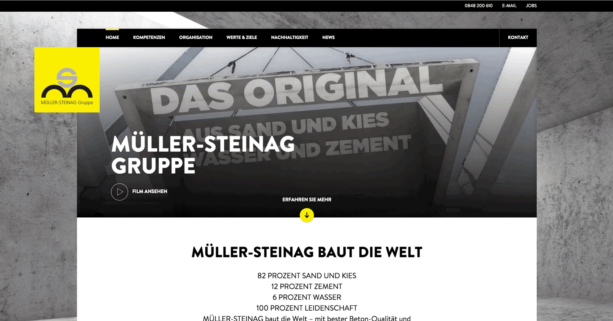 (c) Mueller-steinag.ch