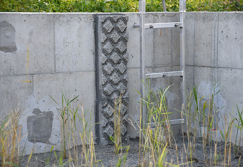 Amphibienausstieg